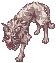 Coyote.png