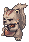 1104 Coco.gif