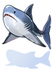 Shark.png