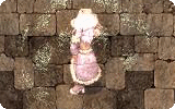Preserve Info.gif