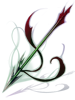 32008.png