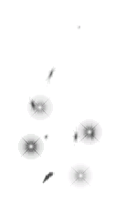 4 ENERGY BLACK.gif