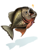 Piranha.png