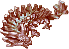 Tarask.png