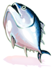 Small Tuna.png
