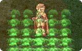 Quagmire Info.gif