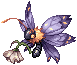 Papilla.png
