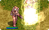 Stone Curse Info.gif