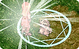 Divest Shield Info.gif