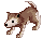 1107 Baby Desert Wolf.gif