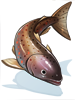 Small Salmon.png