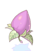 522 Mastela Fruit.png