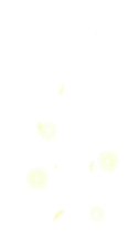 4 ENERGY YELLOW.gif