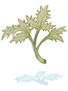 Dry Yggdrasil Veggie.png