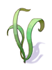 Karakass' Veggie.png