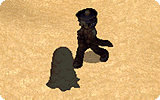 Root Info.gif
