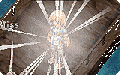 Thumbnail for version as of 09:15, 14 December 2021