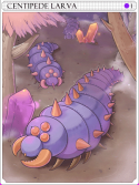 Centipede Larva.png