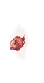 Thumbnail for version as of 15:49, 3 August 2022