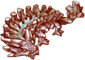 Thumbnail for version as of 10:19, 27 April 2021