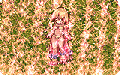 Thumbnail for version as of 00:16, 15 December 2021