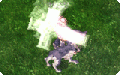 Thumbnail for version as of 22:48, 14 December 2021