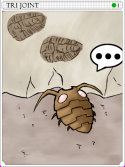 Tri JointCard.png